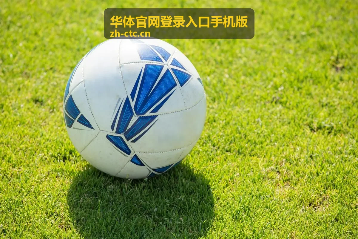 华体App账号安全设置截图